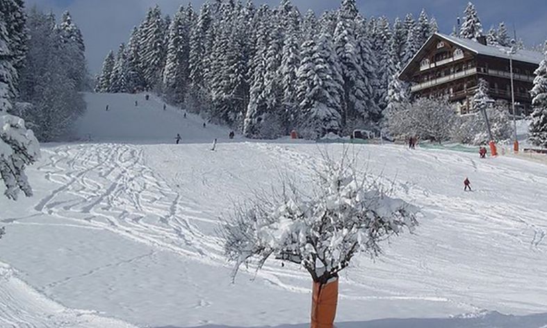schwarzwaldplus's tweet photo. Erleben Sie ein tolles Skierlebnis am #Skilift #Stokinger bei #Freudenstadt gratis mit #swplus https://t.co/hpZDy2u7rQ https://t.co/xpYOVjEWdx