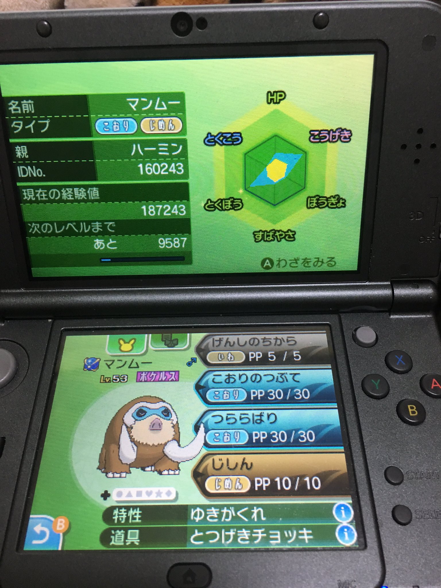 猫丸 ポケモン垢 Nekomaru Po Twitter