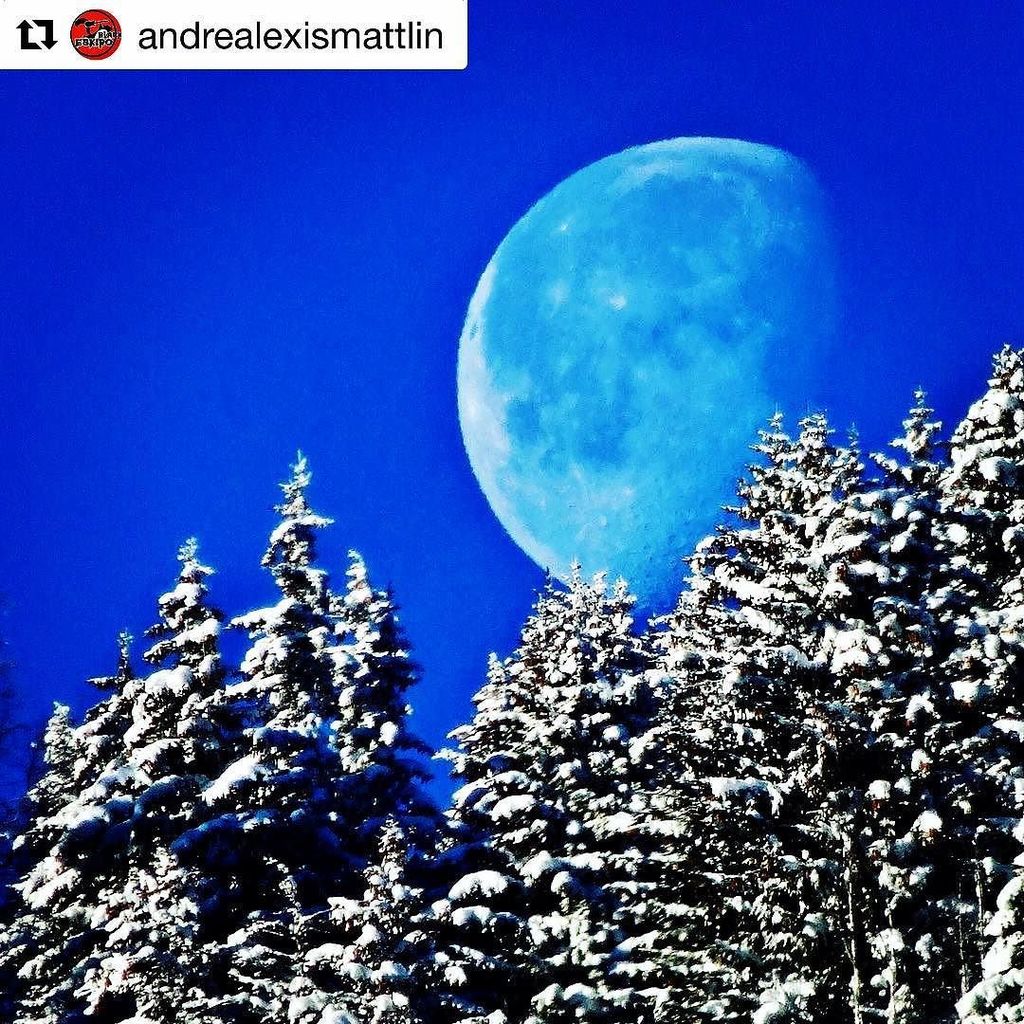 courchevel's tweet photo. Photo du jour! -photo of the day ! #repost @andrealexismattlin #moon #winter #snow #courch… https://t.co/REwGfdqvo7 https://t.co/uBnKjsxmsl