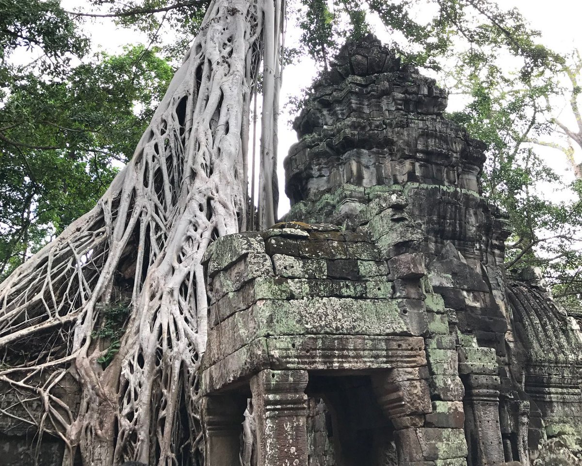 Rob_yeung's tweet photo. Here's Jo Hall again checking in today with news from Cambodia on the @B1G1 Study Tour group  https://t.co/pp2RE6W9oe https://t.co/uq0OgpPS3h