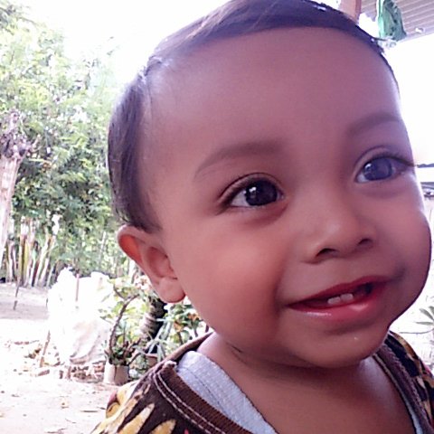 sujan085259 tweet picture