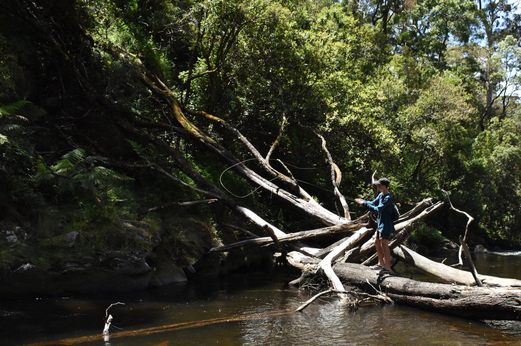 Streamtherapy's tweet image. Smell Your Fingers streamtherapy.wordpress.com/2017/01/17/sme…