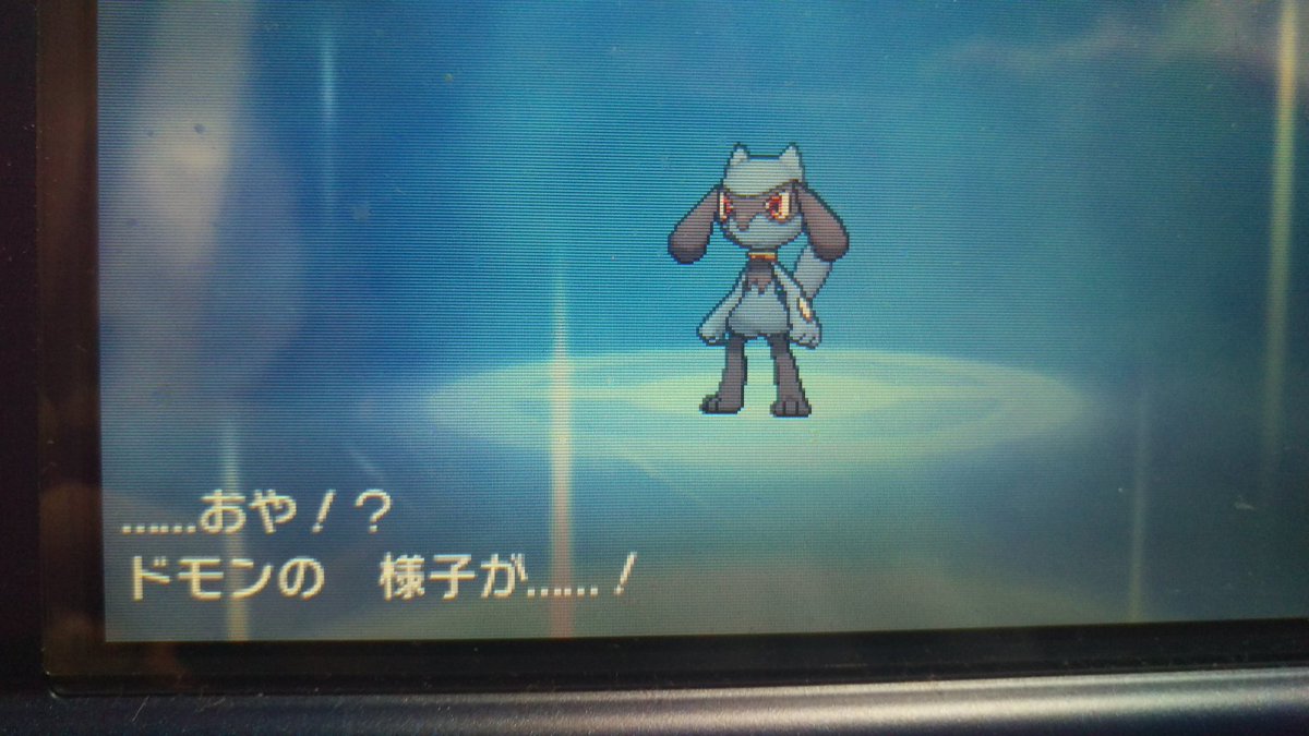 S Kazama Twitterissa ポニの樹林で自力でゲットしたリオルがルカリオに進化した ポケモン初心者な自分だけどスマブラから馴染みのあるポケモンだけにカッコいい 将来的には自身初のメガシンカさせたいねぇ 名前は伝説の格闘家の名前から ドモン にしました