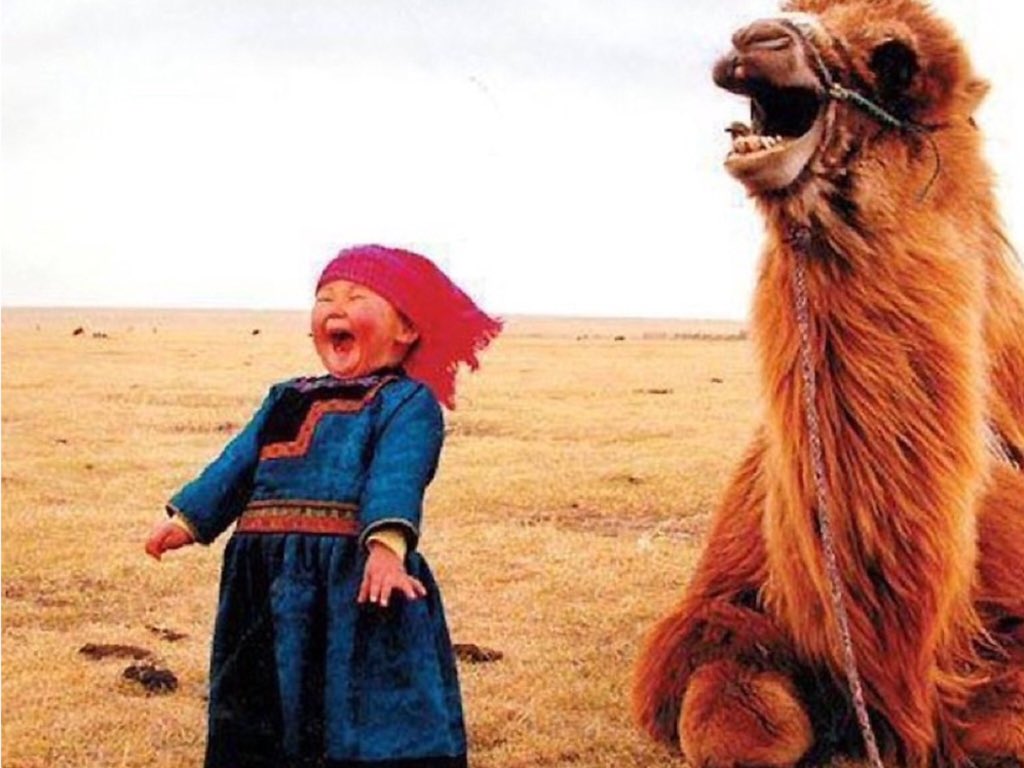 Good morning all!  Run a #SmallBusiness or are you #freelance ....owning a #business can be serious stuff how do you unwind &amp; have some fun?