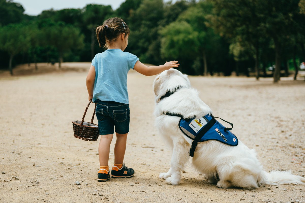 🐾 Wakyma🐾 (@wakymaapp) on Twitter photo Descubre #ProyectoGUAU de <a href="/purina_es/">Purina España</a> para formar a futuros perros de asistencia para discapacitados...¡Te conmoverá! ow.ly/U2zm3084Cqg Descubre #ProyectoGUAU de <a href="/purina_es/">Purina España</a> para formar a futuros perros de asistencia para discapacitados...¡Te conmoverá! ow.ly/U2zm3084Cqg