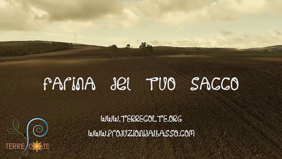 FoodMoodMag's tweet photo. #sostenibilita a #Cagliari “Farina del tuo sacco”: adotta un campo di #grano #Cappelli in #Sardegna https://t.co/2xW5CAJ93T  @TgrSardegna https://t.co/GVzjaAH0Mz