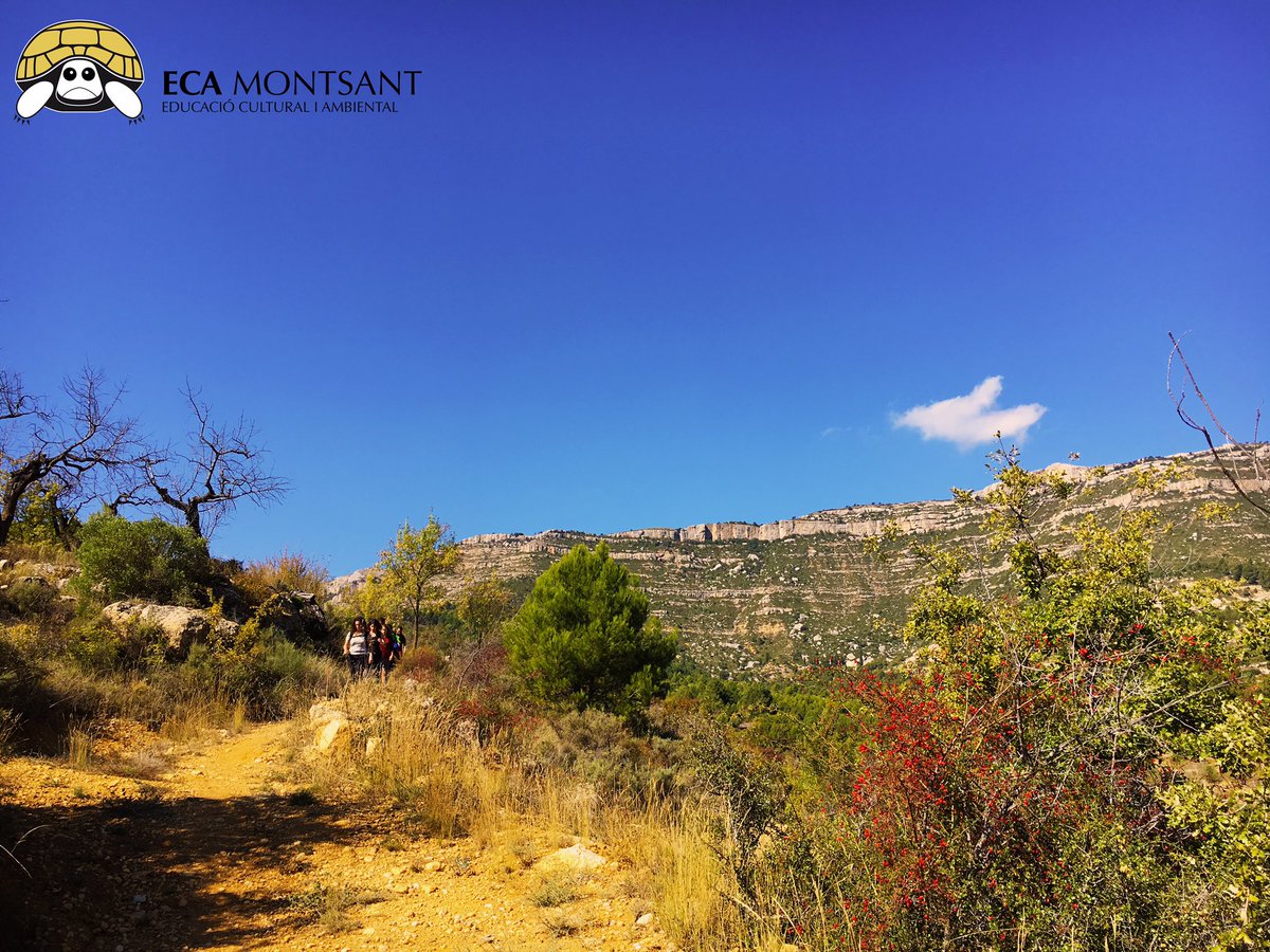 Les nostres activitats, no dubteu en posar-vos en contacte amb nosaltres! #ecamontsant ecamontsant.cat/educacio-infan…