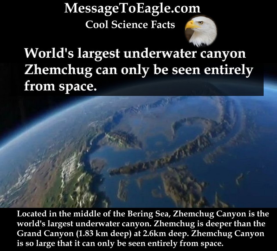 messagetoeagle's tweet photo. #CoolScienceFacts - World’s largest underwater canyon Zhemchug can only be seen entirely from space.
Read more: https://t.co/NFJJNSiTCp https://t.co/trdSmdm3bV