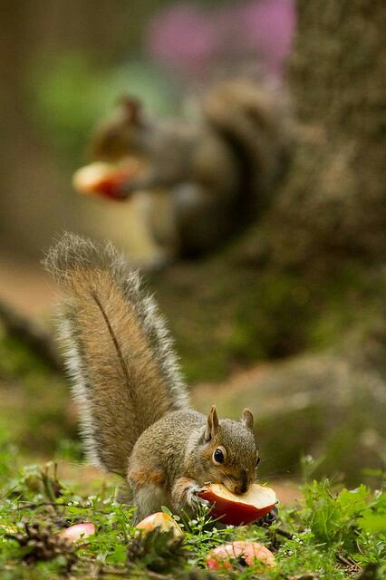 Alias_Lexx's tweet photo. @omniajen ⬅Basic pic of her…😉
@awawa_55
@Oujdia259 @francescofrong2 @MarionSpekker
@djoycici
@elsufuen @LaurenVictorita https://t.co/y3ZrQs1Aih