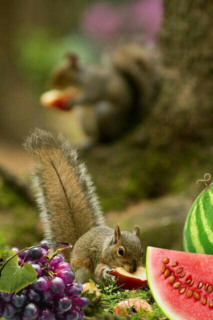 Alias_Lexx's tweet photo. @omniajen ⬅Basic pic of her…😉
@awawa_55
@Oujdia259 @francescofrong2 @MarionSpekker
@djoycici
@elsufuen @LaurenVictorita https://t.co/y3ZrQs1Aih