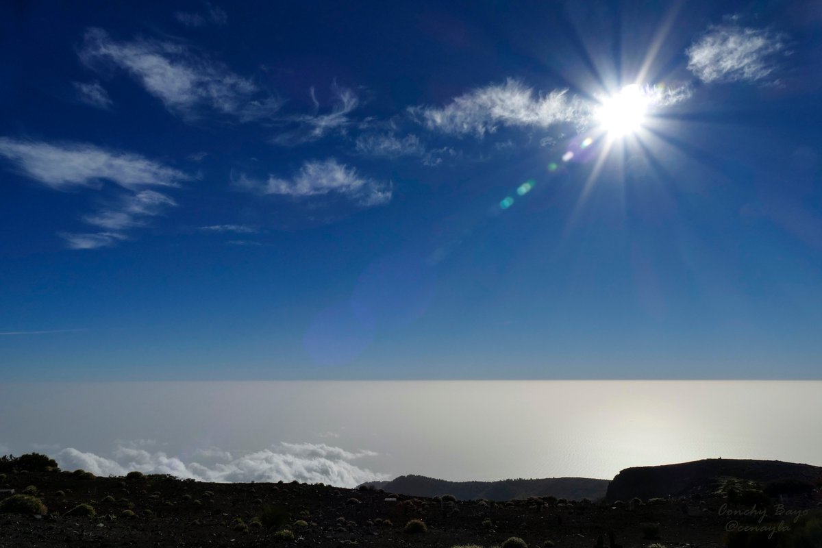 AEMET_Izana's tweet photo. #Mar de #nubes de polvo (#reflexión de la luz en la #calima)
Registro del #Aethalometer (mide la #absorción de la luz debida al polvo) https://t.co/dLwZZcTYhL