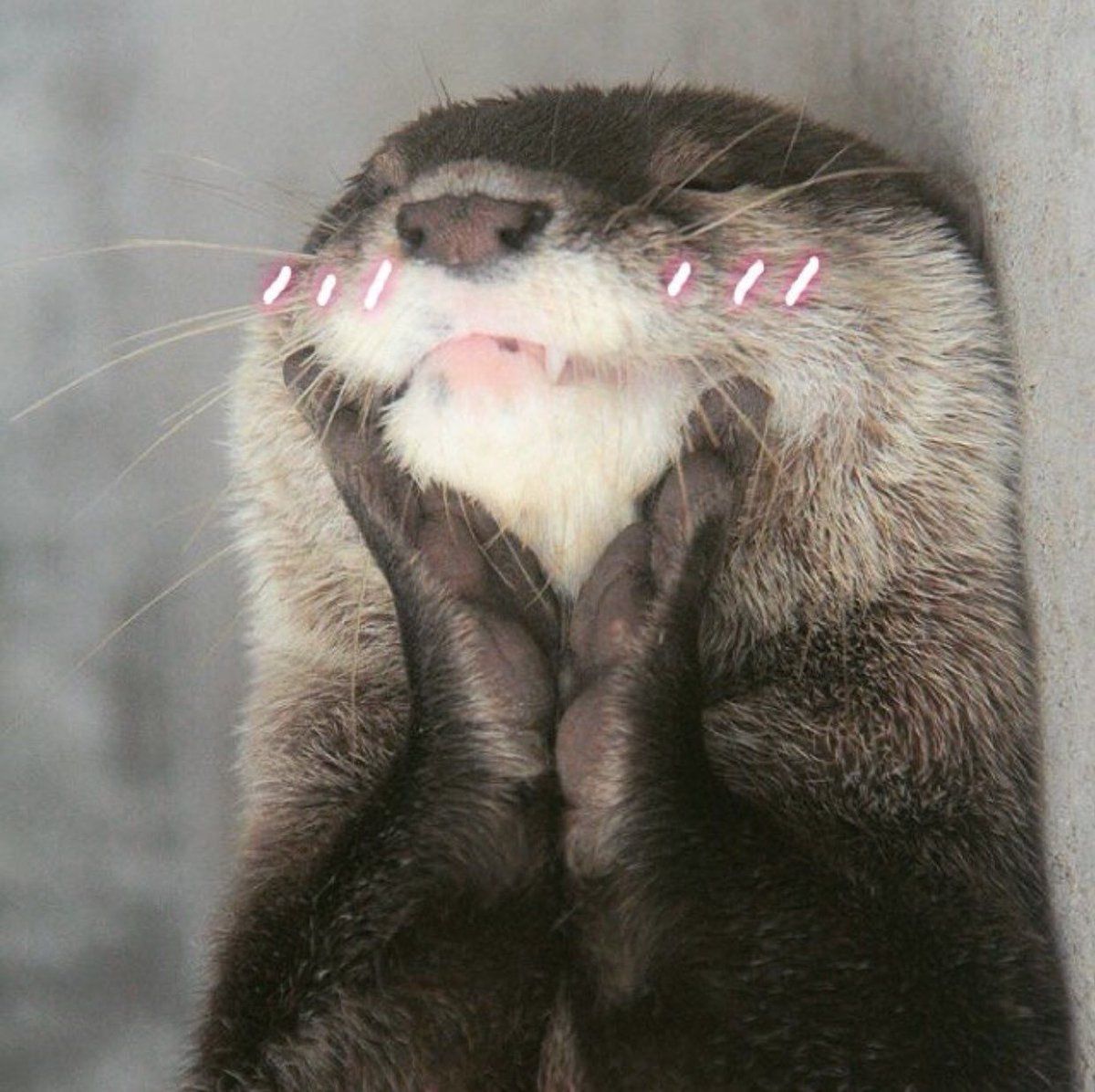 StumblerVideos's tweet photo. when people compliment me on things i actually put effort into and am really passionate about https://t.co/TWFIM0OmCW