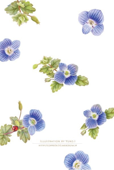 Coppe0630 色鉛筆のアトリエ オオイヌフグリです 小さいけれど冬の田んぼの畦などで枯草の間からハッとするほど綺麗なブルーを覗かせます Coloredpencils Flower Illustration 色鉛筆 オオイヌフグリ 花のイラスト 春先の花 T Co Coppe0630 色鉛筆のアトリエ オオイヌフグリです 小さいけれど冬の田んぼの畦などで枯草の間からハッとするほど綺麗なブルーを覗かせます Coloredpencils Flower Illustration 色鉛筆 オオイヌフグリ 花のイラスト 春先の花 T Co