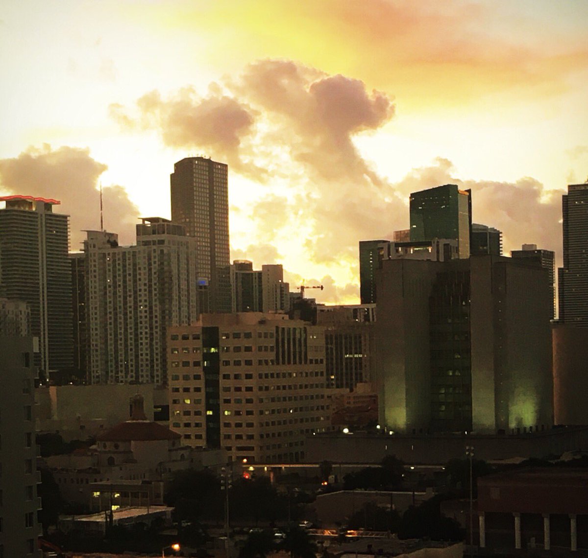 mrmichaeltorres's tweet photo. Beautiful morning in downtown #miami ... the Fire of life.... #ownyourday #teamhuman #shiftstrong #stealingfire (@steven_kotler ) https://t.co/eXXnX5GzDt