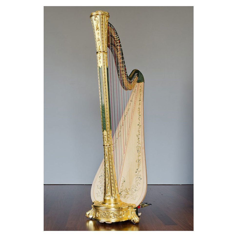 Salvi Harps 日本総代理店 (@salviharpsjp) / X