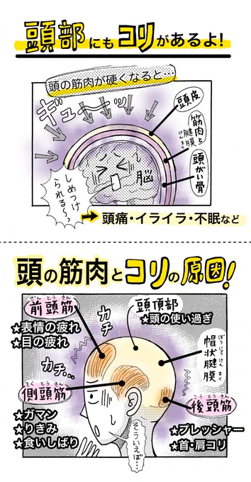 【頭の筋肉のコリはメンタルの影響も】
おでこ<前頭筋>は眉毛の動きに関係・長時間の作り笑いなど、<側頭筋>は過度のガマン・力み、<後頭筋>はプレッシャー…。やっぱり全部「緊張」と関係してるらしいです。#目の疲れも
頭皮ゆるめ4コマ→https://t.co/SrpgCXk5VH 