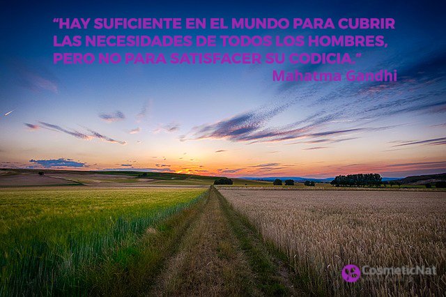 CosmeticNat's tweet photo. Hay suficiente para cubrir las necesidades de todos pero está claro que la forma en que se está haciendo no funciona. #CitasDeMartes #Gandhi https://t.co/G1RoZmTBCZ