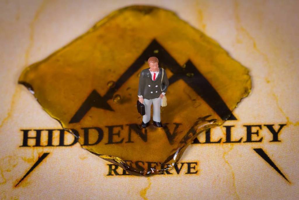 tweedledoob's tweet image. Go check @hiddenvalleyreserve_ for the newest macro shot in this series I'm working on for… ift.tt/2k0zfhB