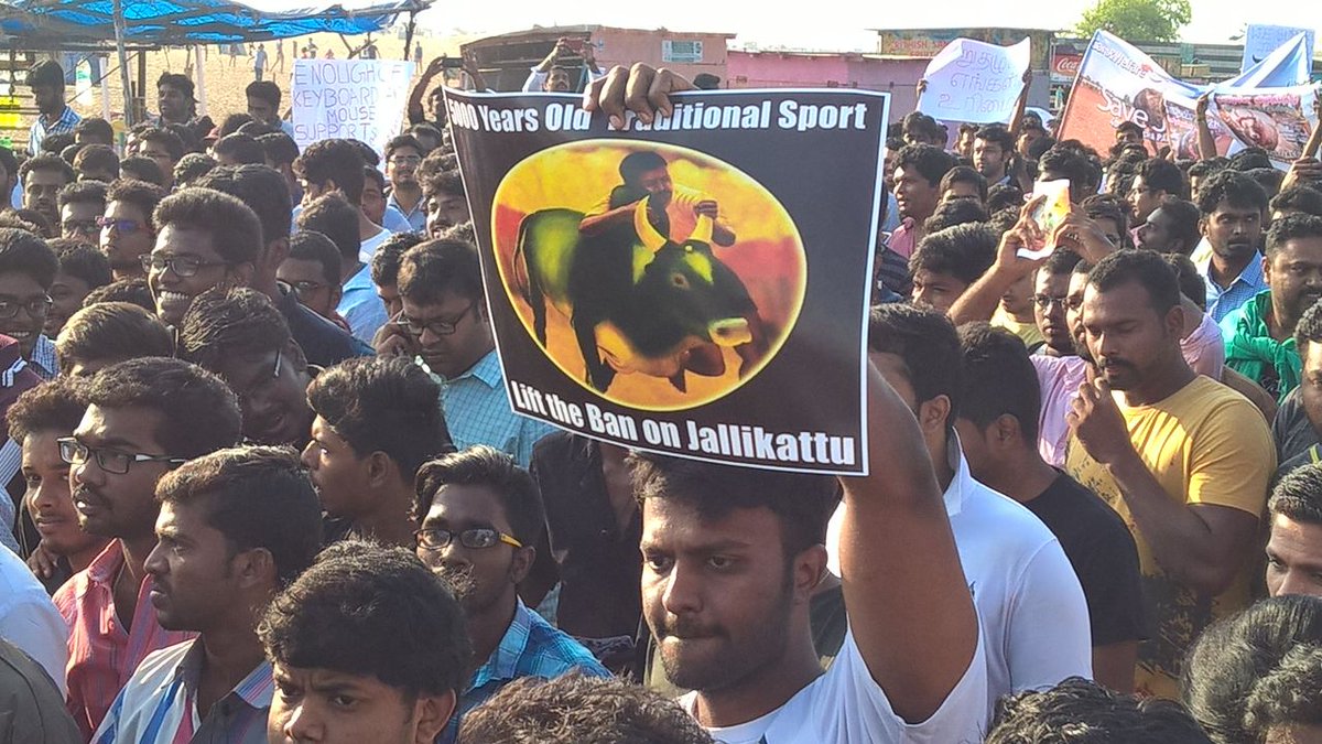 ranjitrob's tweet photo. Yours support ours respect...
#wedojalikattu https://t.co/pIp7s8h7jN