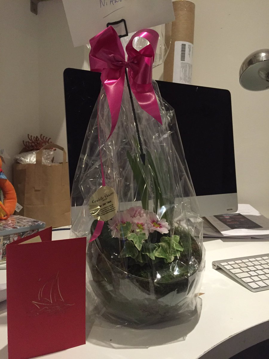 Thank you so much <a href="/maritime_IRL/">Maritime Museum IRL</a> for my beautiful suprise! #TuesdayMotivation #flowers #feelingappreciated #costelloflowers