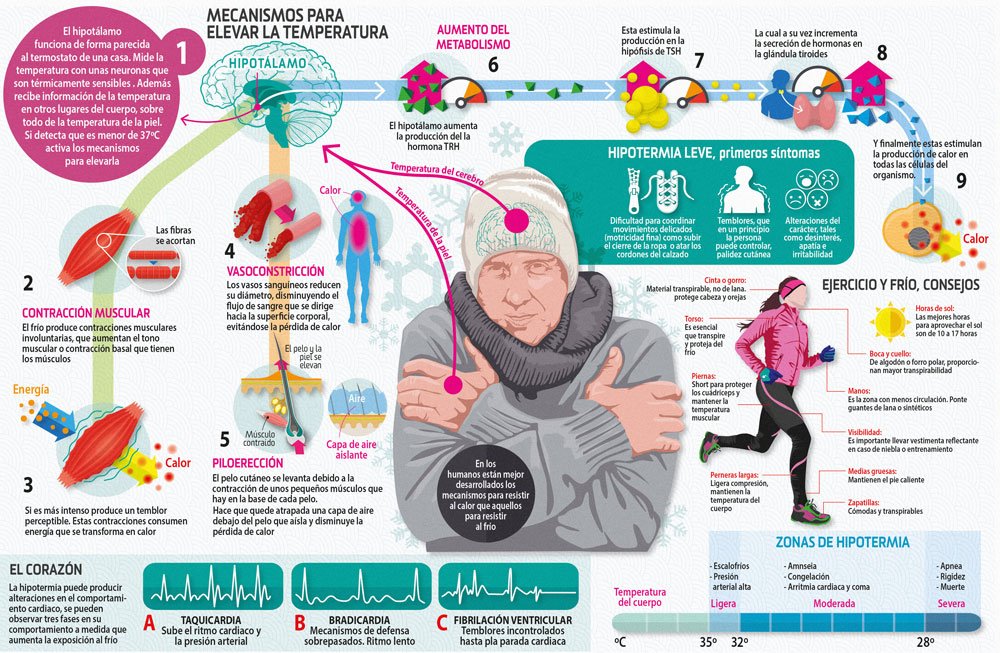 sportlife_es's tweet photo. ¿Qué hace nuestro cuerpo para "defenderse" cuando lo ponemos a correr a bajas temperaturas? https://t.co/TUqzfhMq1f https://t.co/jRiTkNNdoK