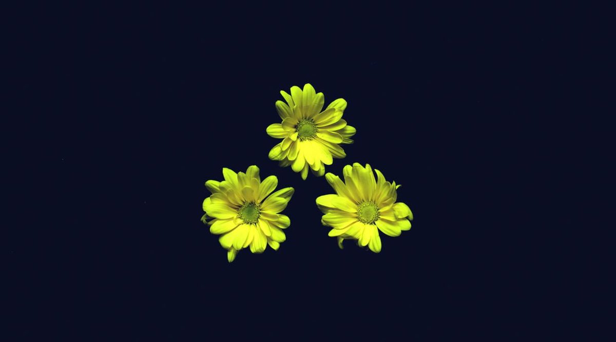 bearingsband's tweet image. Tomorrow.