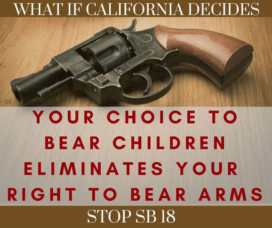 billyboblee310's tweet photo. .@CarlyTwiss Join us to OPPOSE #SB18 #FREEDOM #LIBERTY #ParentalRights #ParentsNOTtheState https://t.co/4ZR13ccnO1 https://t.co/dSErnc7uy3