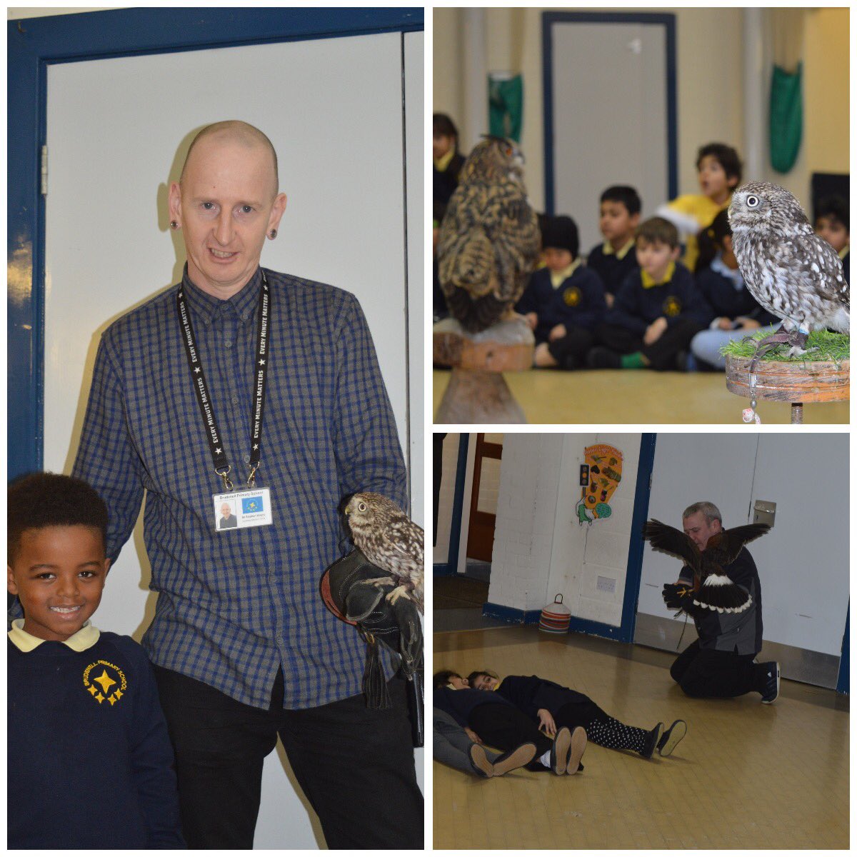 Brudenell Primary (@prima1brudenell) on Twitter photo It was a hoot today <a href="/Prima1Brudenell/">Brudenell Primary</a> with Wayne from Wise Owl Bird of Prey Rescue and his collection of owls! #inspiration It was a hoot today <a href="/Prima1Brudenell/">Brudenell Primary</a> with Wayne from Wise Owl Bird of Prey Rescue and his collection of owls! #inspiration