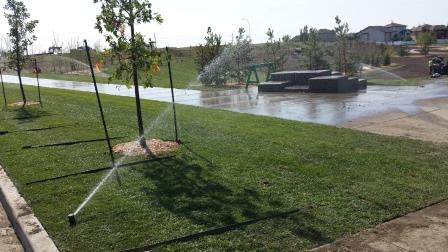 medicinehatcity tweet picture