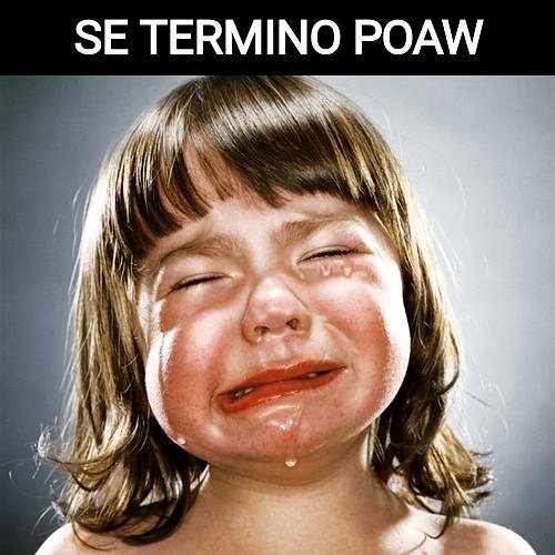 heiss_bass's tweet image. Se terminó POAW, ya no habrá más Adam😭😭😭😭 Nunca lo superare #PEAW #POAW #AdamWalker #liabelikov #Bambi @Lia_Belikov