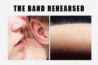 iZotopeInc's tweet image. Engineer Chills.