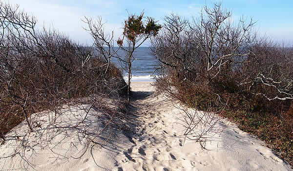 Cape May Writer tweet media
