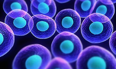 alsassociation's tweet photo. Stem cell research creates opportunities in the search for new #ALS treatments: https://t.co/UjYYTRDAHI https://t.co/jqVNmqew8V