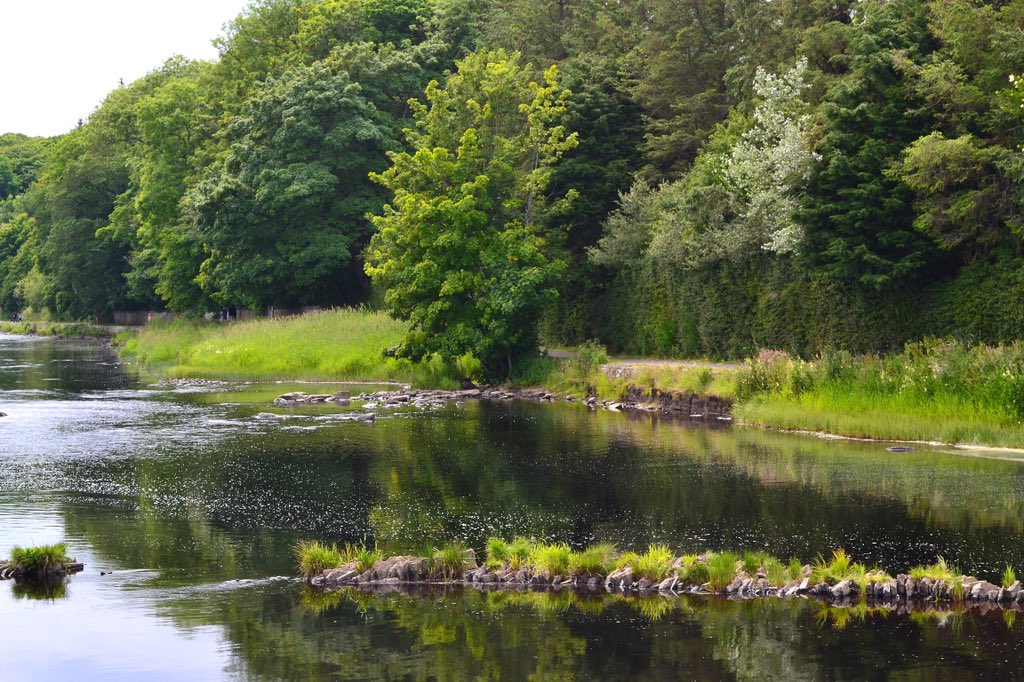 bazzamarama's tweet photo. @NorthCoast500 #thursoriver #caithness https://t.co/IKc62NwLwk