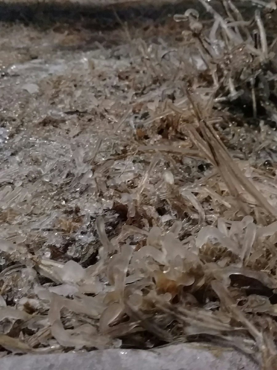 Resist the urge to walk on frozen grass, it can cause harm to the grass come spring. #NebExt