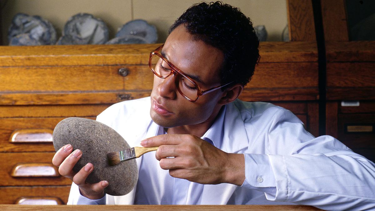 Geologists Unearth Fully Intact Rock trib.al/2uyofmB