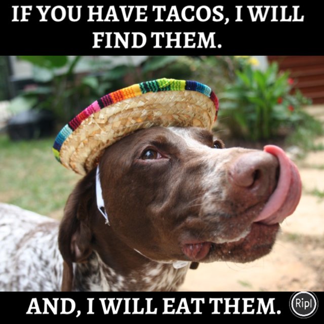 invisible_point's tweet photo. https://t.co/nDPko7e79X  #tacotuesday via https://t.co/wNHe0rUtI4 https://t.co/LMY98wOtyt
