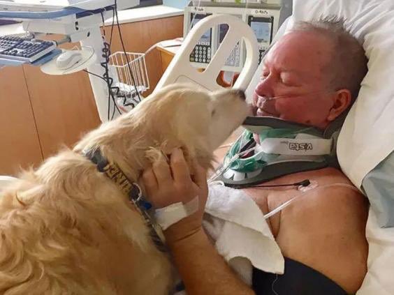 LPCover's tweet photo. Pet dog saves owner’s life by lying on him for 20 hours after he slipped and broke his neck in -4C conditions https://t.co/rkSblCYImQ https://t.co/o2zQhsBoVm