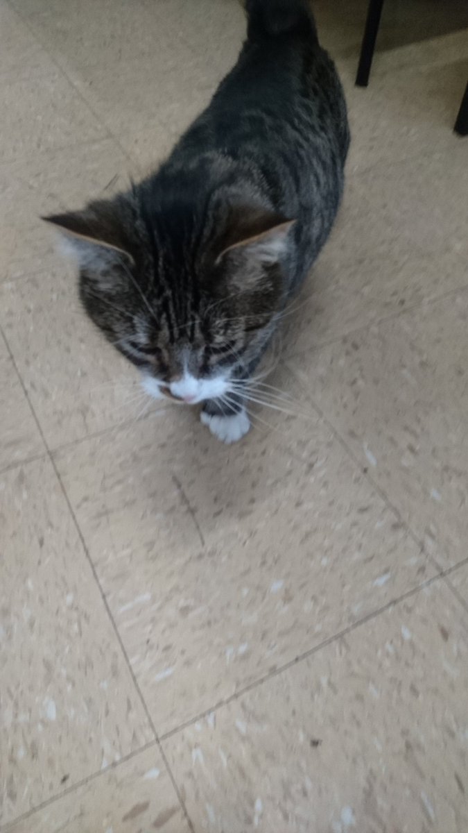 Toothill Big Local tweet media