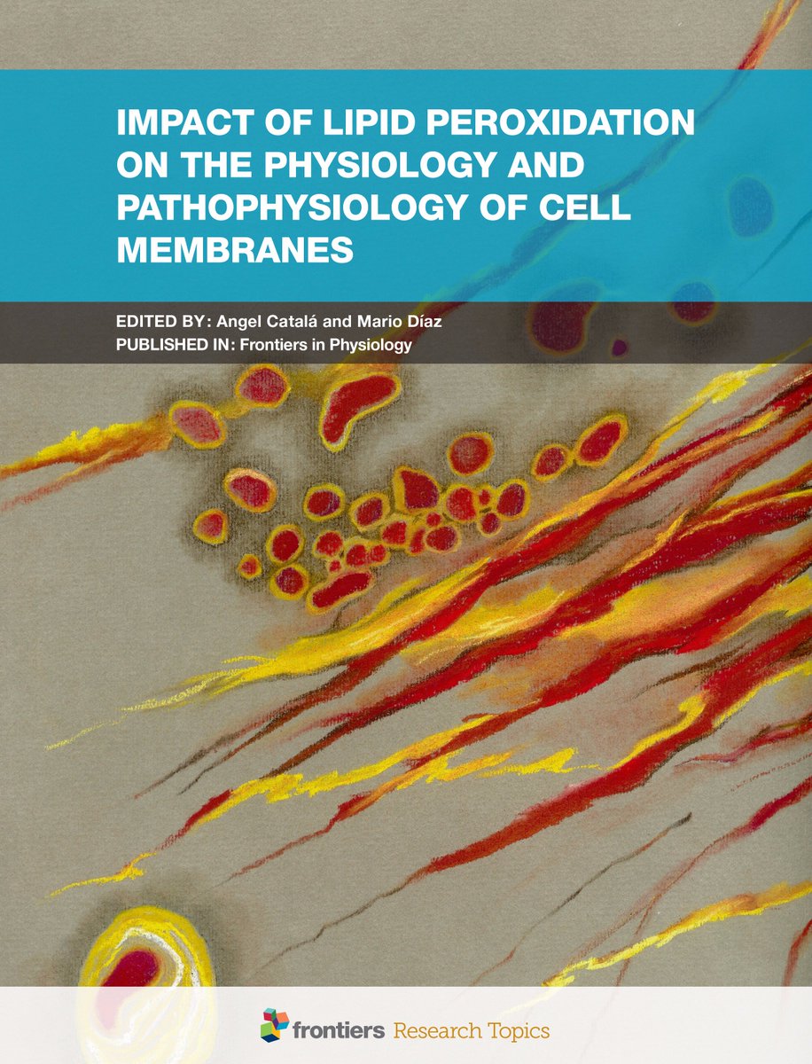 download discourse on the move using corpus analysis to describe discourse structure studies in corpus