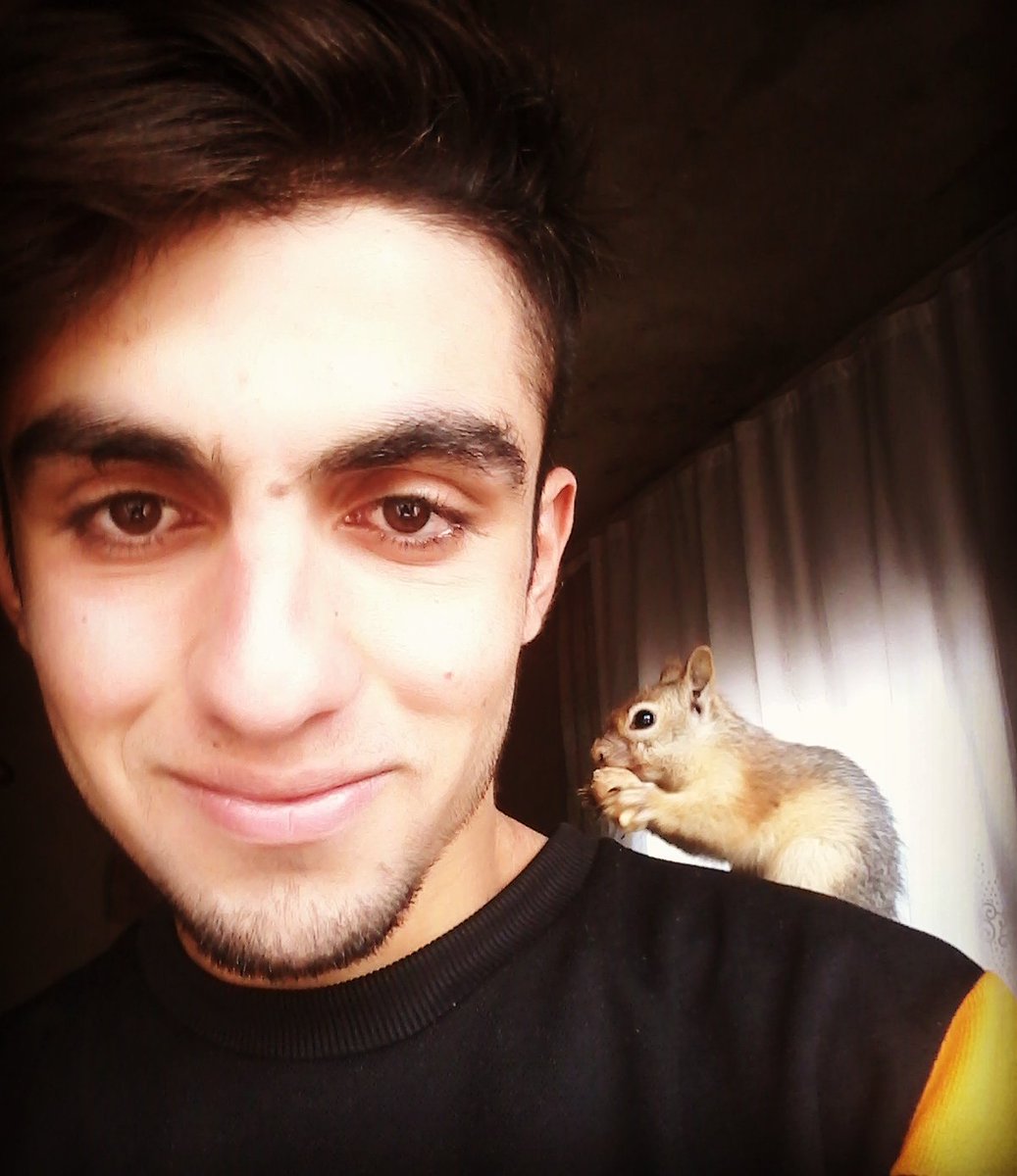 NEZİR_YLDRM (@yldrmnezir) on Twitter photo 