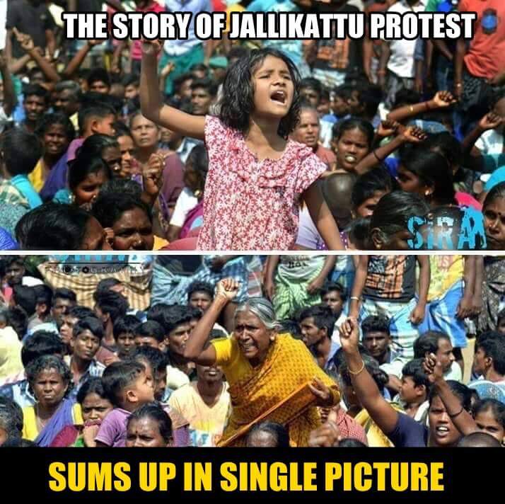 sharath_SPR's tweet photo. #JusticeforJallikattu
@paiyasaravanan @dinathanthi @CNN @narendramodi @realsarathkumar @bbctamil @BBCBreaking @AIADMKOfficial @iam_str https://t.co/ROl8YJN9OS