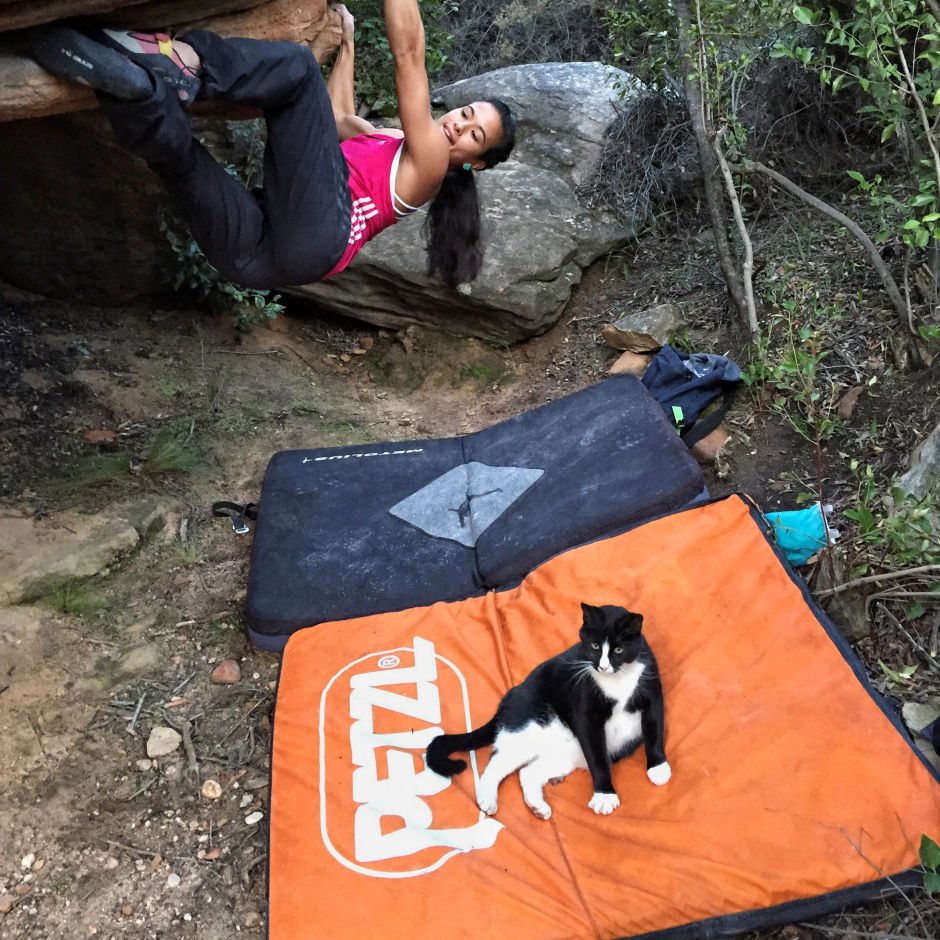 Don't have a climbing buddy? Fear not, you can always just take your cat!😹 - climbing.com/photos/re-gram…