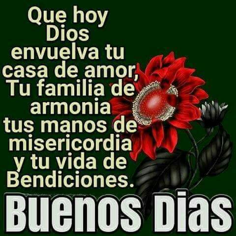 odradreksencasa's tweet photo. #TraigoGanasDe darte unas flores hermosas, unas imágenes lindas o unos regalos online: https://t.co/z8cvANCicZ https://t.co/lsepkJvesF