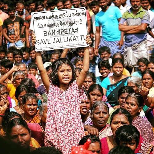 TrendsAjith's tweet image. Lets Join hands for a Better future 👍

#BanPETA
#SaveOurCultureJALLIKATTU