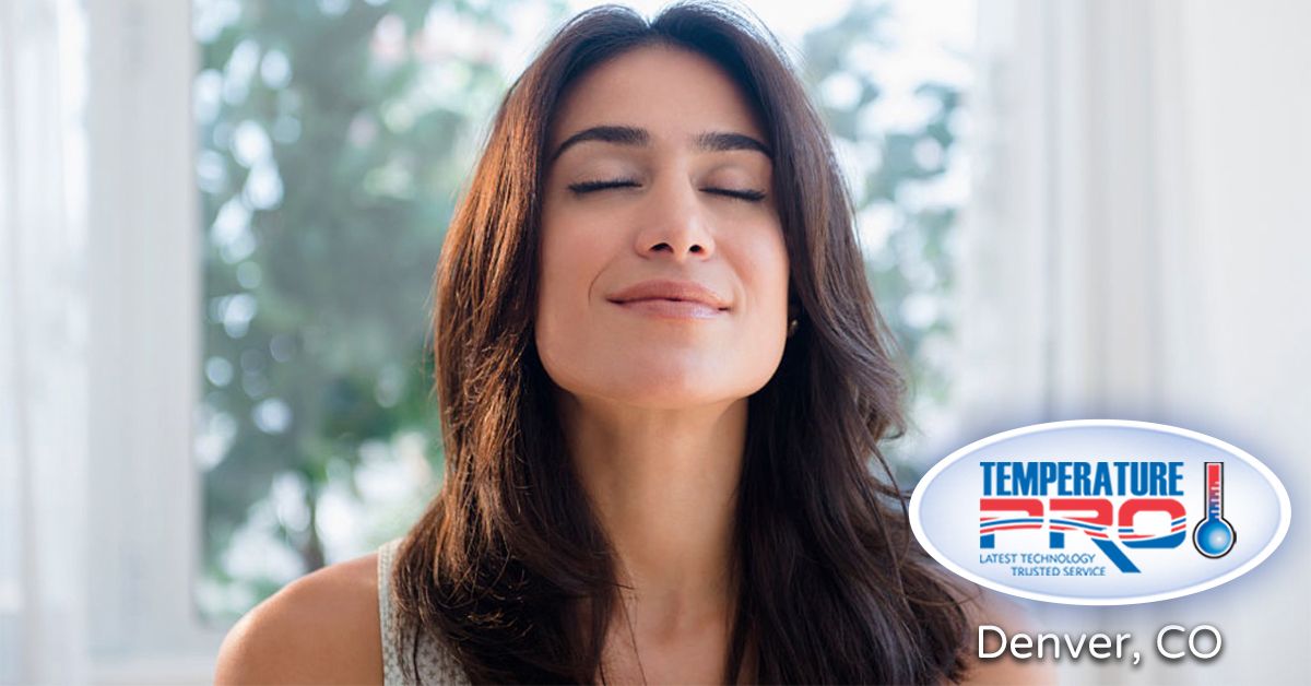 TempProDenver's tweet image. If #energyefficiency is part of your New Years resolutions then this is for you! buff.ly/2jhG4YE