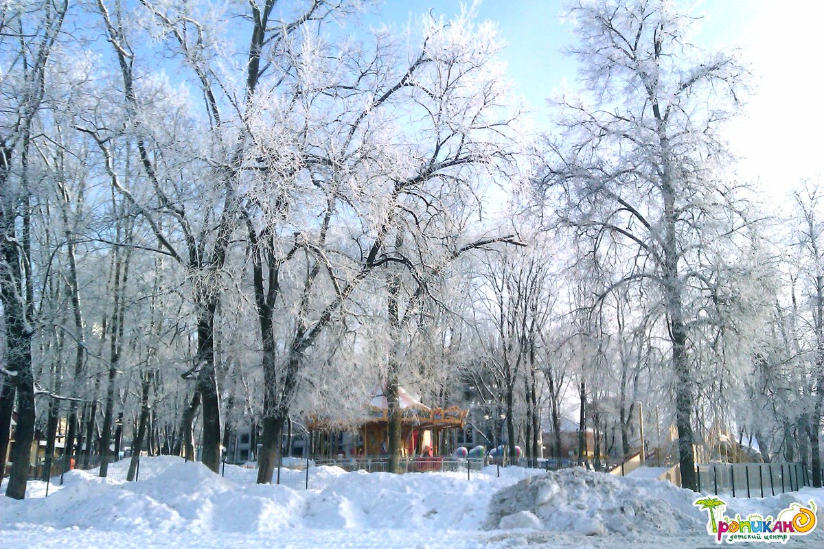 У нас тут в парке такая красота! #belpark #зима #белгород #winter