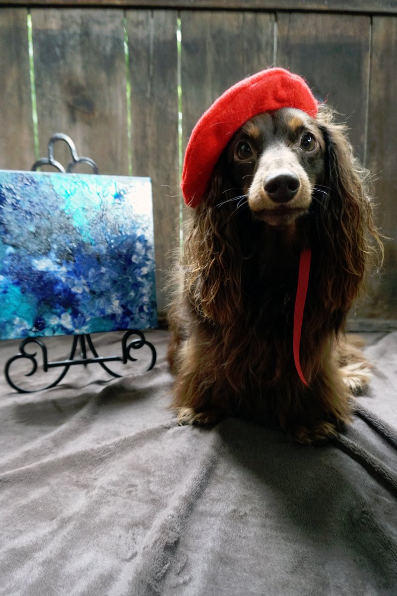 lezahlabrador's tweet photo. My heart beats WOOF! #LondonLabrador @londonlabrador #dachshund #artist #Daughter https://t.co/gEjfKbyOyn