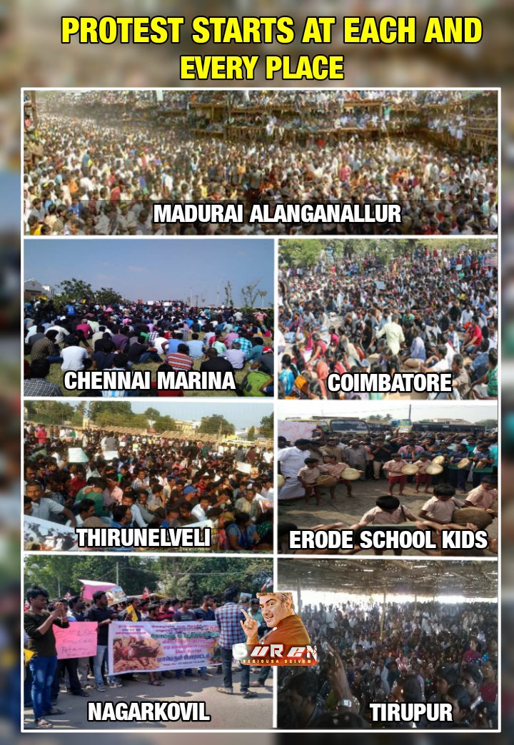 SirJadeja's tweet photo. Present Situation Of #Jallikattu Protest In Tamilnadu. Protest Begins At Many Places. Politicians Must Visit To At Least Listen To Them. https://t.co/ITFBXLs22M