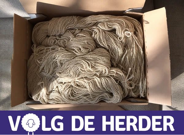 1ste wol is binnen! Dank herder Maarten. ism #Ouderenfonds wordt gelimiteerde oplage mutsen gebreid. Benieuwd? Volg volgdeherder.nl